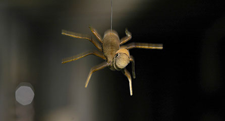 Christin Schindler Tiere der Großstadt Animationsfilm